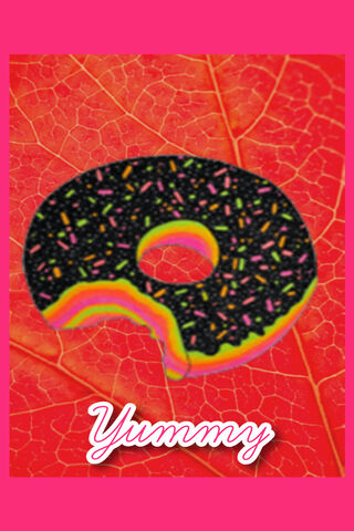 Deliciously Colorful Delight 🍩✨