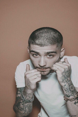 Zayn Malik: The Charismatic Star 🌟