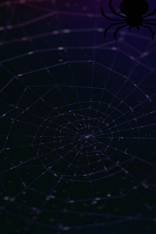 Web of Shadows: Embracing the Dark