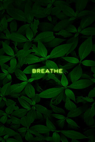 Breathe