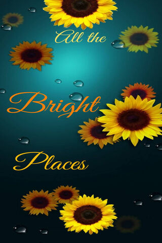 Sunshine in Every Corner ☀️🌻