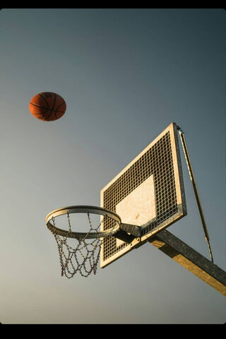 Slam Dunk Dreams 🏀✨