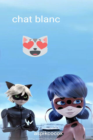 The Purr-fect Duo: Chat Blanc and Ladybug! 🐾❤️