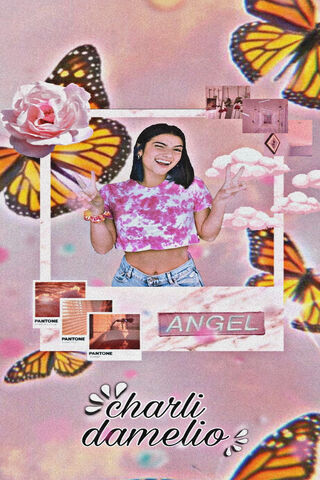 Charli's Dreamy Vibes 🌸🦋