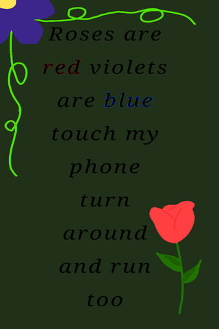 A Playful Warning: Don't Touch My Phone! 📱🌹