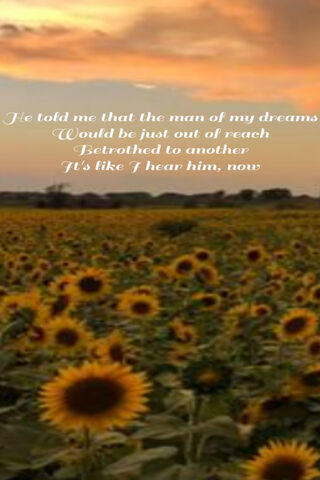 Dolores: A Dream Among Sunflowers 🌻✨