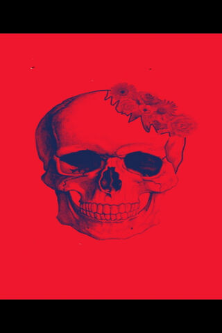 Blooms of the Beyond 🌸💀