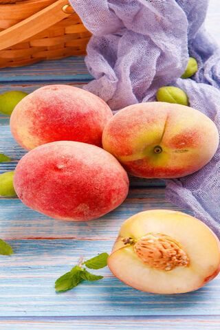 Peachy Delights: A Taste of Summer 🍑✨