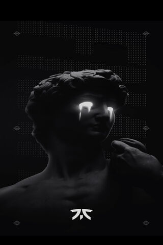 The Art of Victory: Fnatic's Legacy