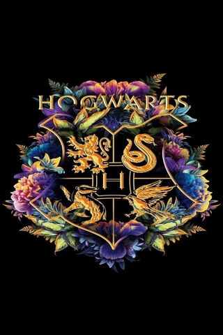 Enchanting Hogwarts: A Galaxy of Magic 🌌✨