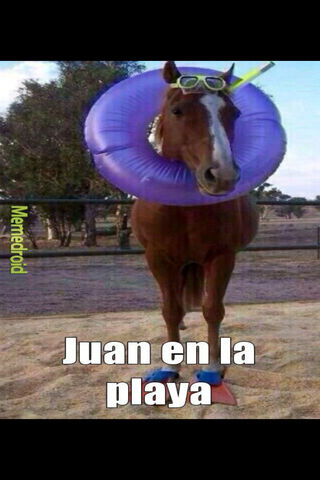 Beach Day Shenanigans with Juan the Horse! 🏖️🐴