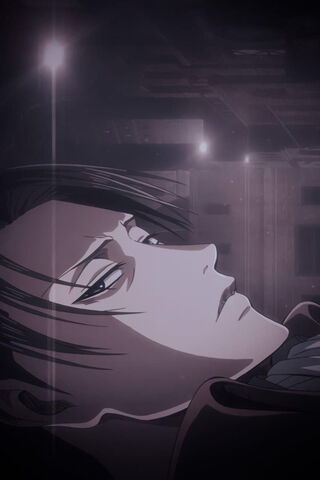 Levi Ackerman: The Silent Guardian