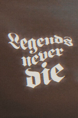 Eternal Echoes: The Spirit of Legends 🌟