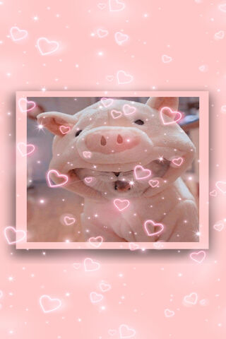 Michi the Adorable Piggy Pal 🐷💖