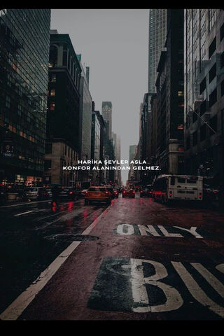 Chasing Dreams in the City Rain 🌧️✨