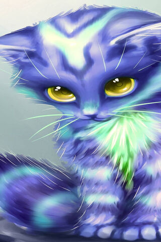 Mustafa the Mystical Cat 🌌🐾