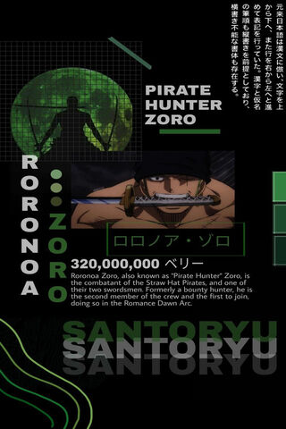 Zoro: The Fearless Pirate Hunter ⚔️