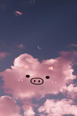 Puerquito Nube: The Adorable Cloud Pig 🐷☁️