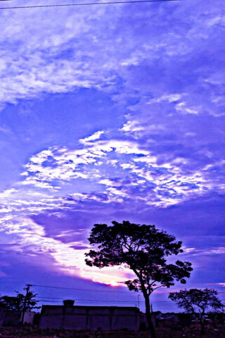 Twilight Dreams: A Purple Sky Canvas 🌌✨