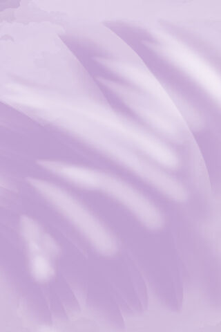 Dreamy Lavender Hues 🌸✨