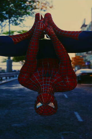 Web-Slinger in Action! 🕷️🕸️