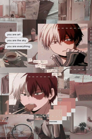 Todoroki Shoto: The Art..