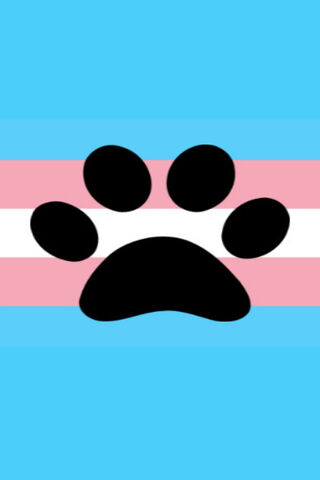 Paw-sitive Pride: Embracing Identity 🐾🌈