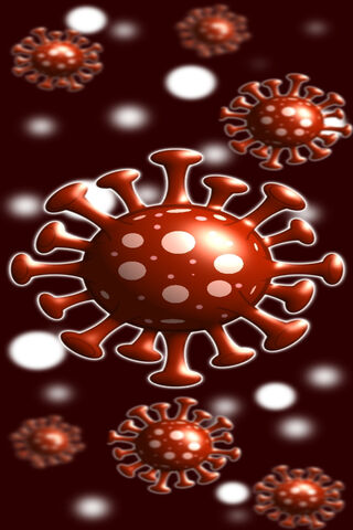 The Intriguing World of Viruses 🦠✨