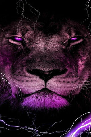 Electric Majesty: The Eye of the Lion