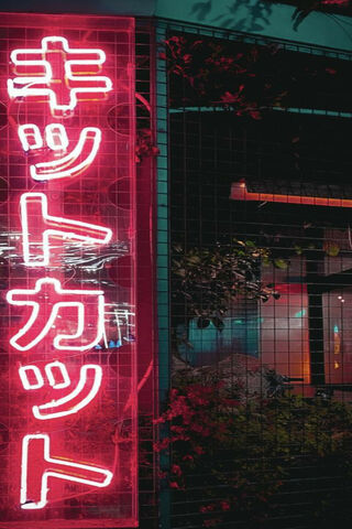 Neon Dreams: The Allure of Red Magenta