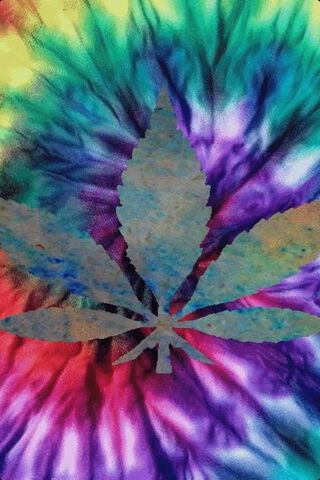 Vibrant Vibes: The Red Magenta Leaf 🌈🍃