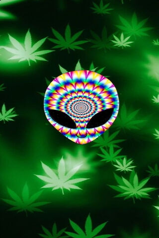 Cosmic Cannabis: A Psychedelic Encounter 🌌🍃