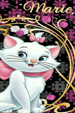 whiskers pink Wallpaper - Download to your mobile from PHONEKY