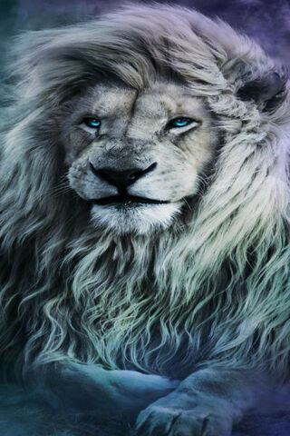 Majestic Whiskers of the Wild 🦁✨