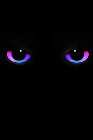 Mystical Gaze: The Allure of Eye Whiskers 👁️✨