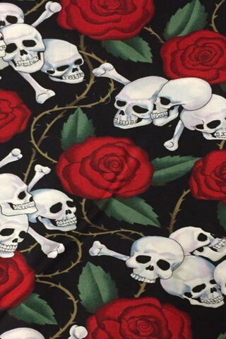 Roses and Skulls: A Dance of Life and Death 🌹💀
