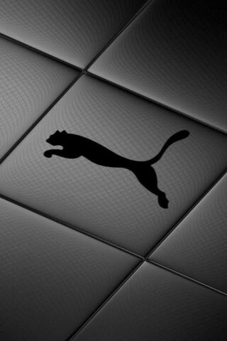 Dynamic Design: The Essence of Material Property