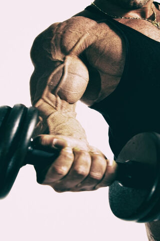 Strength in Motion: The..