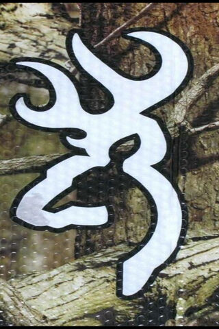 Nature's Emblem: The Number Symbol