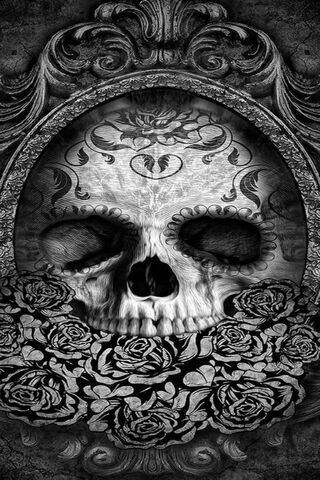Gaze of the Forgotten: A Skull's Reflection