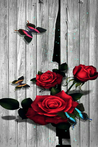 Whispers of Love 🌹✨