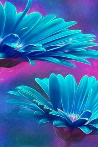 Celestial Blooms: The Sky Petal Dream 🌌🌸