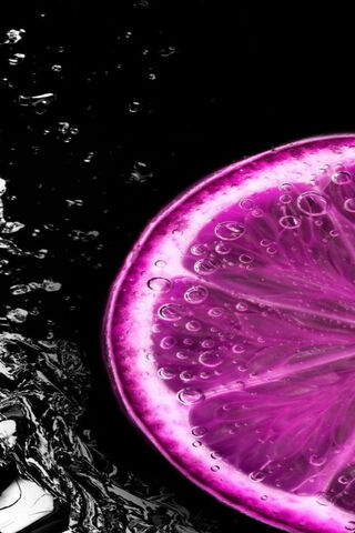 Magenta Petal Splash 🌸💦