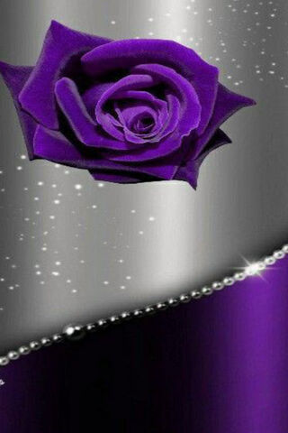 Mystical Elegance: The Enchanted Rose