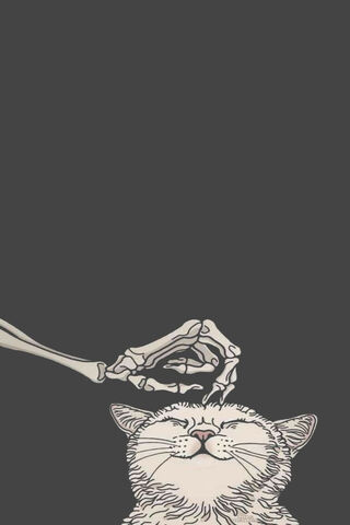 Paws and Bones: A Whimsical Connection 🐾💀