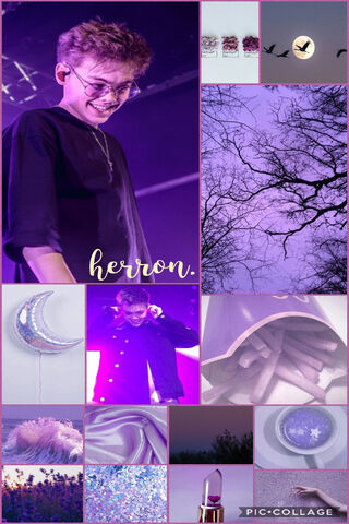 Purple Vibes with Zach Herron 🌌✨
