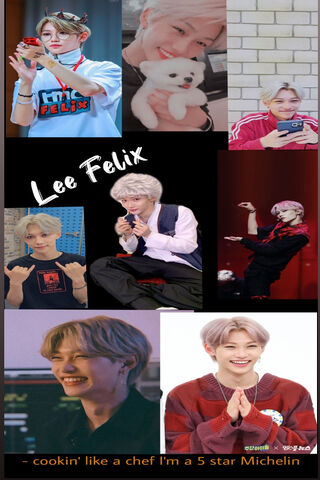 Felix: The Culinary Star 🌟👨 🍳