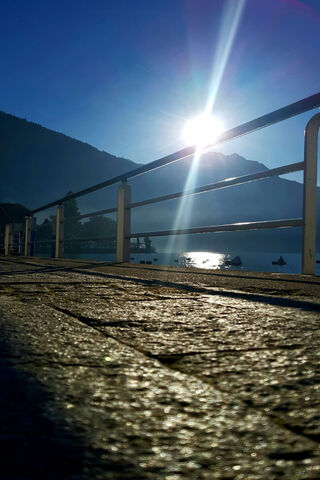 Sunlit Serenity: A Galaxy S20 Perspective 🌅