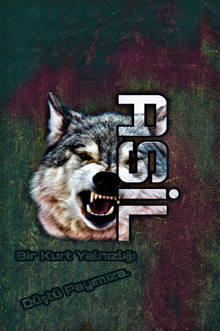 The Noble Wolf: A Symbol of Strength