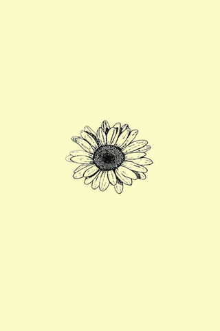 Margarita: A Blooming Delight 🌼